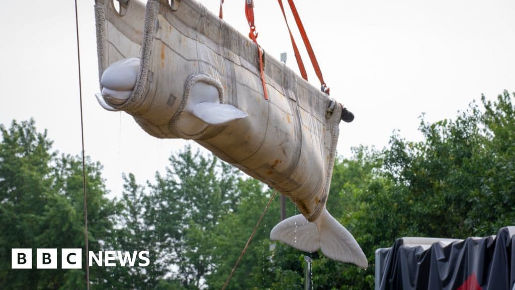 Beluga whales relocated from closed Canadian marine park arrive in US